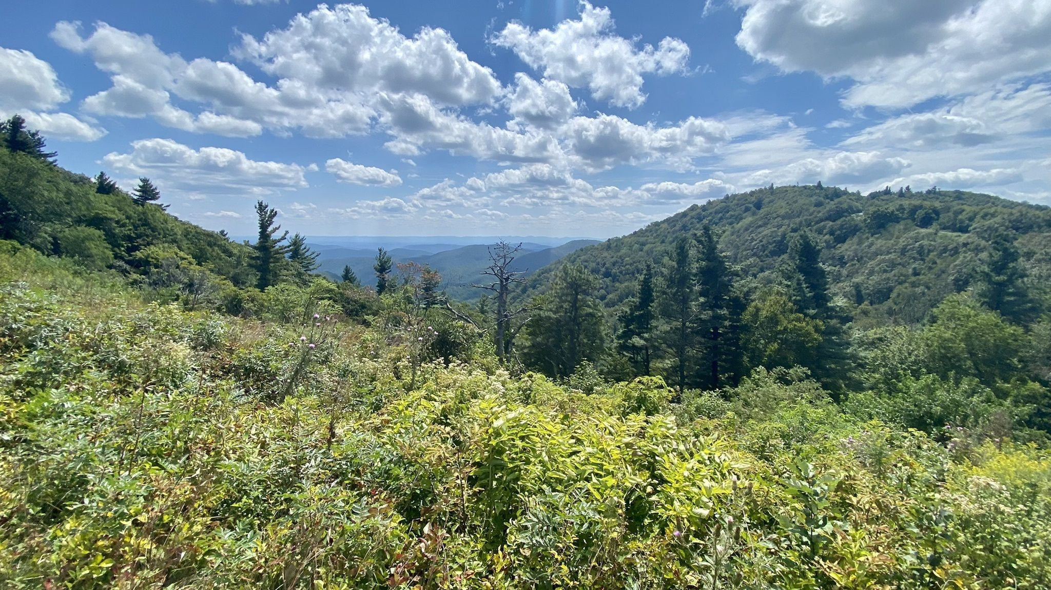 Grassy Gap, Bluff Ridge and Cedar Ridge
